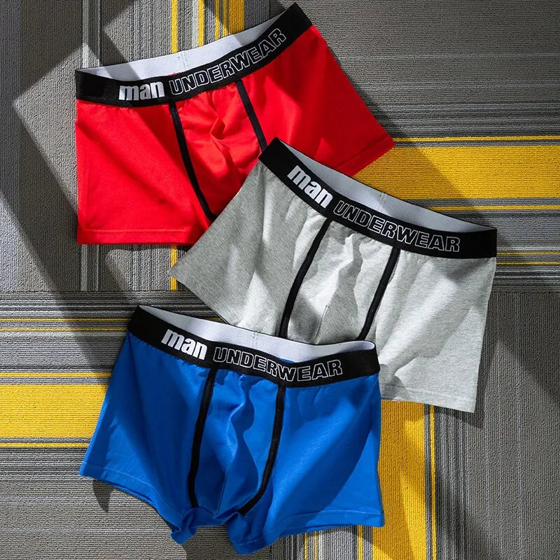 Boxer Shorts de algodão masculino, Roupa Interior Conforto, Calcinhas Cor Sólida, Lingerie Sexy, Boxers Masculinos, Moda, 5 peças Importe Go 