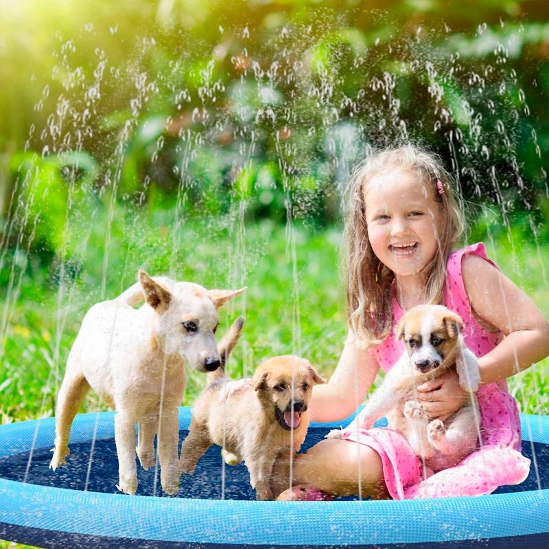 Piscina Infantil Para Crianças e Cães com Chafariz | DiverteKids P18-7 Importe Go 