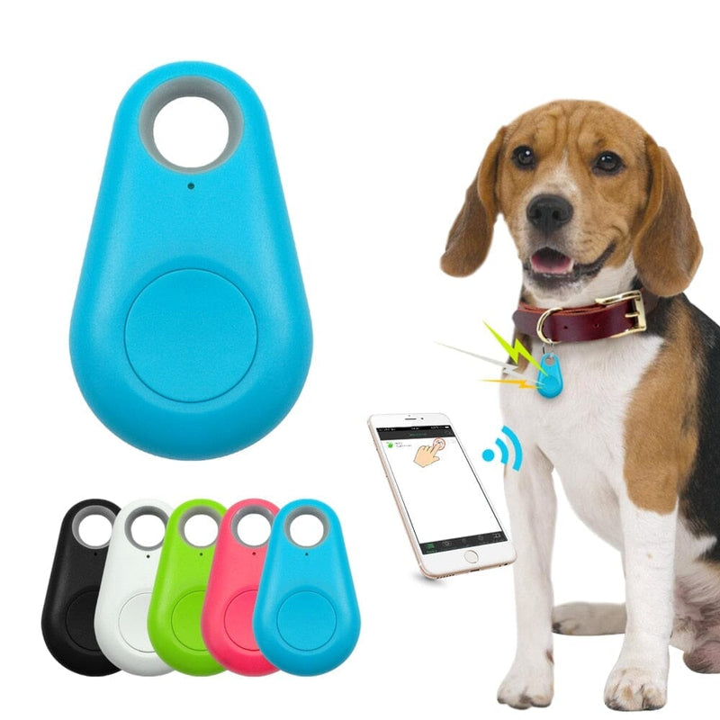 Rastreador GPS Para Cães e Gatos KB 26 - Rastreador GPS Para Cães e Gatos Importe Go Azul 